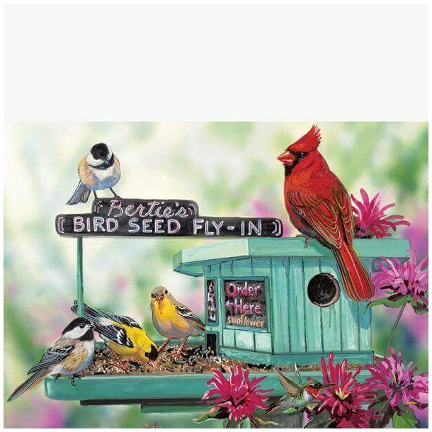 Bird seed/ Fuglehus 300 brikker