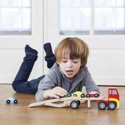 Autotransporter med sm biler, tr