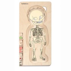 Gravid, Anatomi 5-lags puslespil, tr