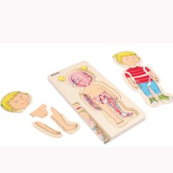 Pige, 5-lags anatomi-puslespil. tr