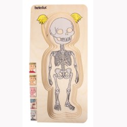 Pige, 5-lags anatomi-puslespil. tr