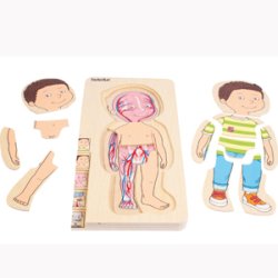 Dreng, 5-lags puslespil i tr