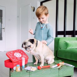 Lge st / Doktor st, tr