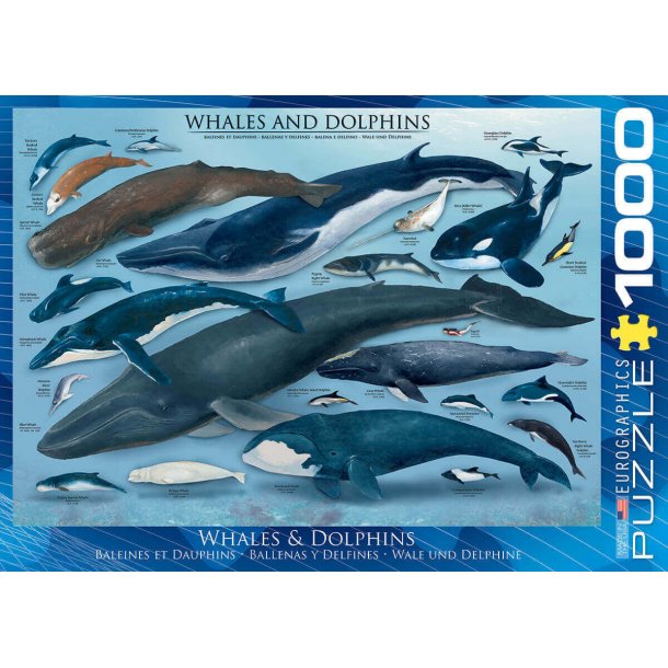 Hvaler og delfiner - 1000 brikker