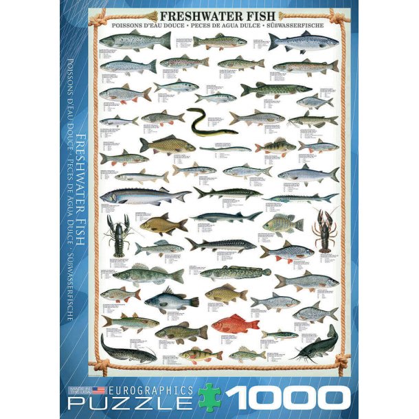 Ferskvandsfisk - 1000 brikker