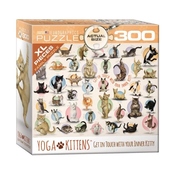 Yoga katte, 300 Xl brikker