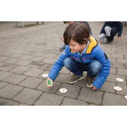 Huskespil - jagt insekter, tr