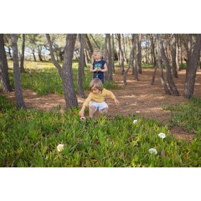 Huskespil - jagt insekter, tr