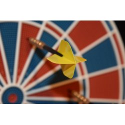 Sunflex BLAST Dartpile &#150; Nylon Skaft, Messing Tnde, Poly Flyvning